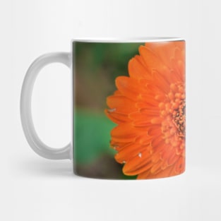 Single Orange Gerbera Flower Mug